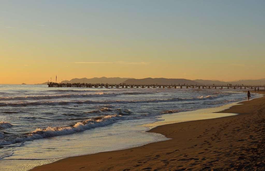 Villa Roma Imperiale Forte dei Marmi Natura zdjęcie